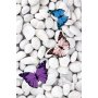 Conceptum Hypnose Tepih (180x280) HMNT530 - slika 2
