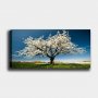 WALLXPERT Dekorativna slika YTY1233464_50120 - slika 1