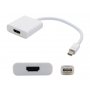 Terabyte Kabl mini display M na HDMI Z - slika 1