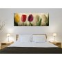 WALLXPERT Dekorativna slika PC147 - slika 3