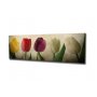 WALLXPERT Dekorativna slika PC147 - slika 1
