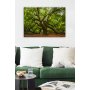 WALLXPERT Dekorativna slika 553671223 5070 - slika 2