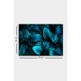 WALLXPERT Dekorativna slika 1458117611 5070 - slika 3