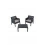 HANAH HOME Baštenska garnitura Lara 1+1+S Takim Anthracite - slika 2