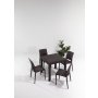 HANAH HOME Baštenski set Rattan 80x80 Small Masa Takimi Brown - slika 1