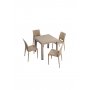 HANAH HOME Baštenski set Rattan 80x80 Small Masa Takimi Cappucino - slika 2