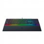RAZER Tastatura Ornata V3 RZ03-04460300-R3W1 - slika 3