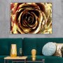 WALLXPERT Dekorativna slika 75989779_70100 - slika 2
