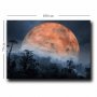 WALLXPERT Dekorativna slika 70100NISC 049 - slika 3