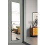 HANAH HOME Ogledalo Rectangular 2 20x80 Silver - slika 1