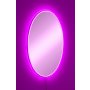 HANAH HOME Ogledalo sa LED osvetljenjem Elliptical Single 30x40 cm Pink - slika 2