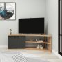HANAH HOME TV polica Termera Atlantic Pine Anthracite - slika 3