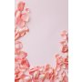 Conceptum Hypnose Tepih (140x220) WOOKECE080 - slika 2