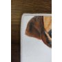 Conceptum Hypnose Tepih (140x220) WOOKECE082 - slika 5