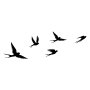 WALLXPERT Zidna dekoracija Crow - slika 1
