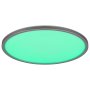 RABALUX Rasmus 2290 LED plafonjera - slika 3