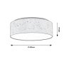 RABALUX Otilia 3307 LED plafonjera - slika 5