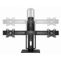 GEMBIRD Podesivi stoni drzac za dva monitora tilt, 17-27 max.2x6kg, MS-D2-01 - slika 2