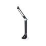 RABALUX Balor 3958 stona lampa - slika 1