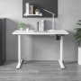 COUGAR Gaming sto Electic Standing desk Royal 120 Mossa White - slika 4