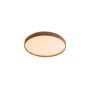 RABALUX Leana 6580 LED plafonjera - slika 1