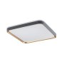 RABALUX Liatris 71029 LED plafonjera - slika 2