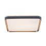 RABALUX Liatris 71029 LED plafonjera - slika 3