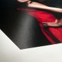 Hahnemuhle FineArt Baryta Satin A3+ Foto papir - slika 2