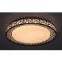 RABALUX Nilin 71140 LED plafonjera - slika 4