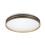 RABALUX Gandor 71141 LED plafonjera - slika 2