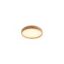 RABALUX Leana2 71143 LED plafonjera - slika 1
