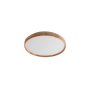 RABALUX Leana2 71144 LED plafonjera - slika 1