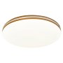 RABALUX Oscar2 71173 LED plafonjera - slika 2
