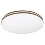 RABALUX Oscar2 71173 LED plafonjera - slika 3