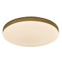 RABALUX Oscar2 71177 LED plafonjera - slika 2