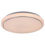 RABALUX Trevor2 71183 LED plafonjera - slika 2