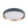 RABALUX Liatris2 71185 LED plafonjera - slika 2