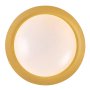 RABALUX Hafsa 71187 LED plafonjera - slika 3