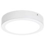 RABALUX Shaun2 71193 LED plafonjera - slika 1