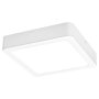 RABALUX Shaun2 71197 LED plafonjera - slika 1