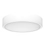 RABALUX Lauri 71244 LED plafonjera - slika 1