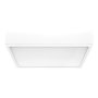 RABALUX Lauri 71245 LED plafonjera - slika 1