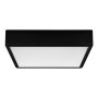 RABALUX Lauri 71247 LED plafonjera - slika 1