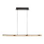 RABALUX Remiel 72045 LED visilica - slika 2