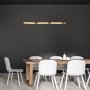 RABALUX Remiel 72045 LED visilica - slika 5