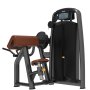 RING DUAL Biceps curl-Triceps extension (2 u 1 mašina za biceps i triceps)-RP ELG-18 - slika 1