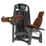 RING DUAL Leg extension-Leg curl (2 u 1-masina za prednju i zadnju lozu)-RP ELG-21 - slika 1
