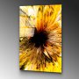 WALLXPERT Dekorativna slika od kaljenog stakla YEL 1 (UV 134) 70 x 100 cm - slika 5