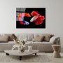 WALLXPERT Dekorativna slika od kaljenog stakla FISHES (UV 167) 70 x 100 cm - slika 4