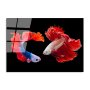 WALLXPERT Dekorativna slika od kaljenog stakla FISHES (UV 167) 70 x 100 cm - slika 5